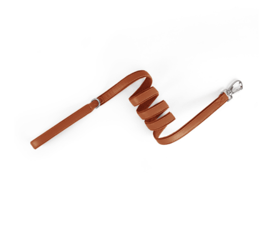 Animaux Collier Tracker - Protection pour Airtag