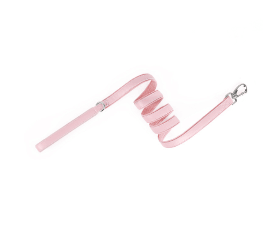 Animaux Collier Tracker - Protection pour Airtag