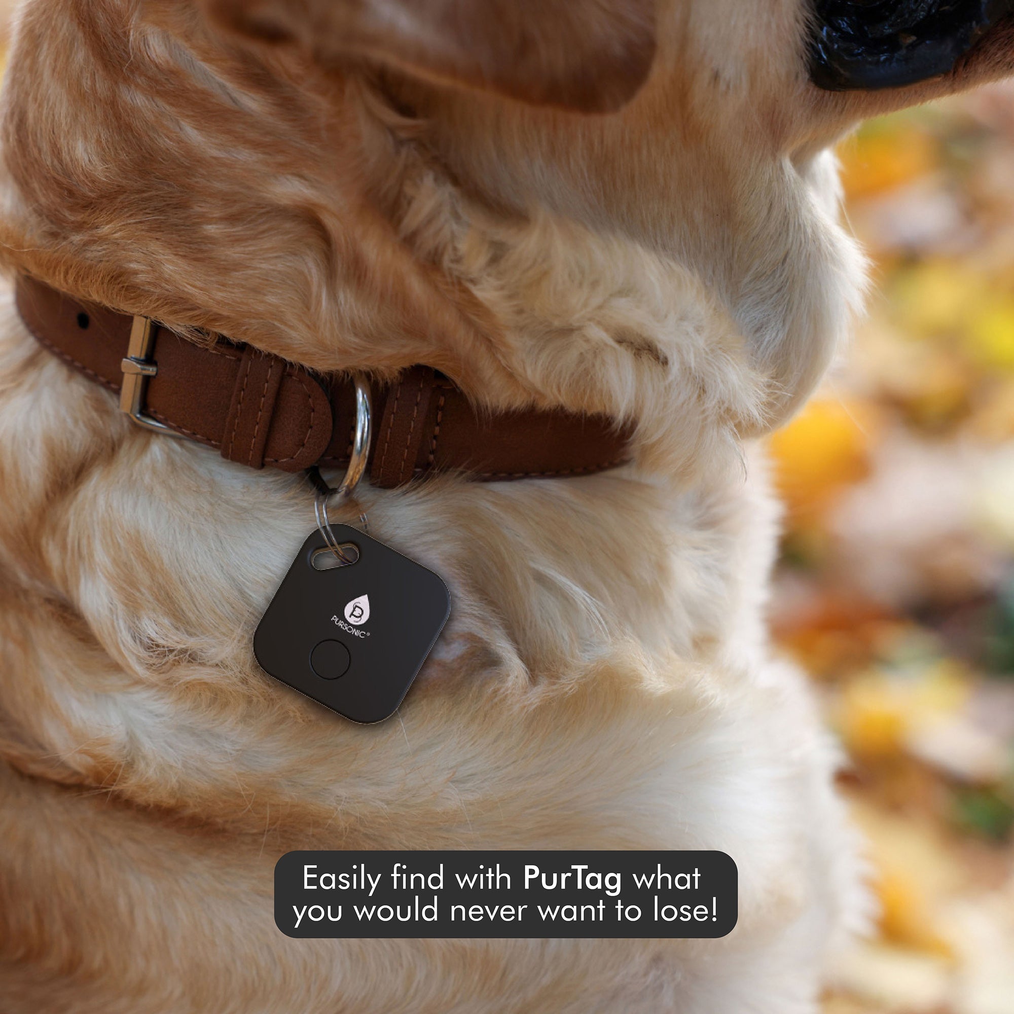 Purtag Tracker : La solution ultime pour ne plus jamais perdre vos affaires