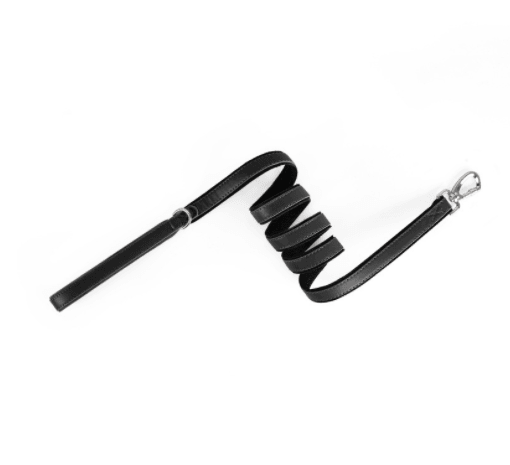 Animaux Collier Tracker - Protection pour Airtag